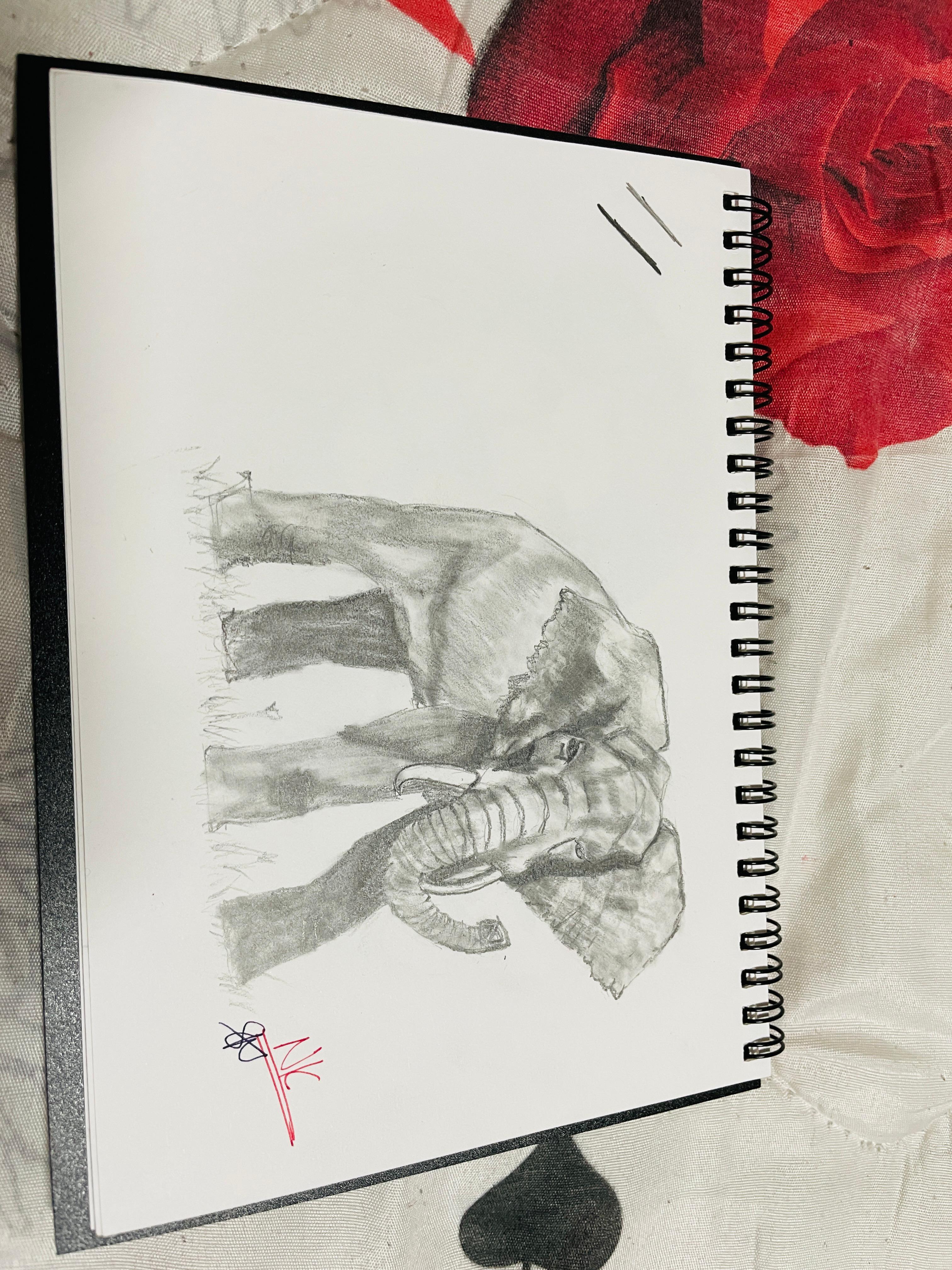 A pencil sketch of an elephant